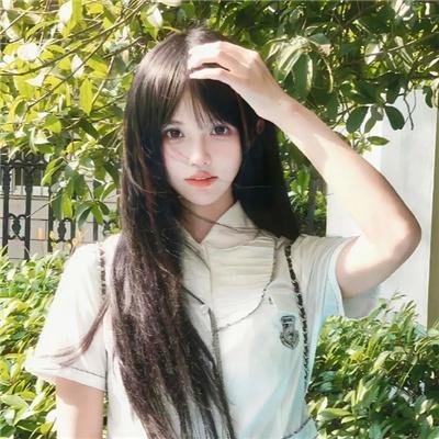 离狼之歌